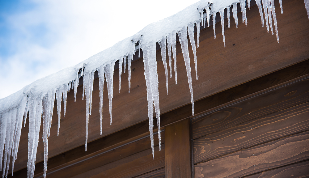 home inspection - winter